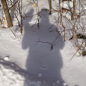 iant_miyashiro avatar