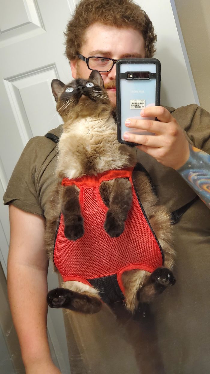 Didn't Measure My Cat And Bought A Carrying Pack Way Too Small For Him