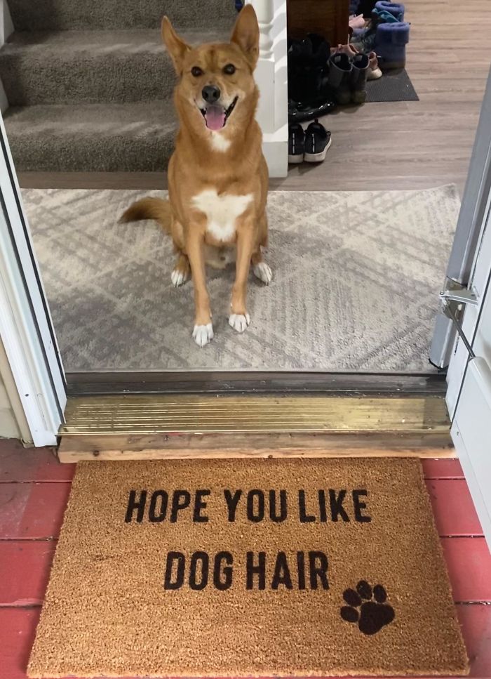 Our Adopted Boi Is Half Husky. Got A Custom Doormat Made Just For Him!