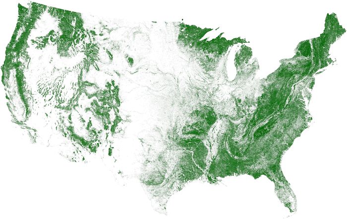 Tree Cover Map Of The US