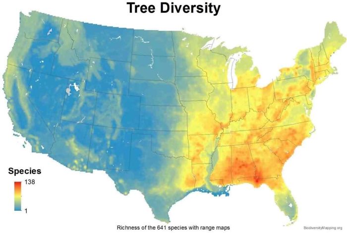 Diversidad arbórea de EEUU