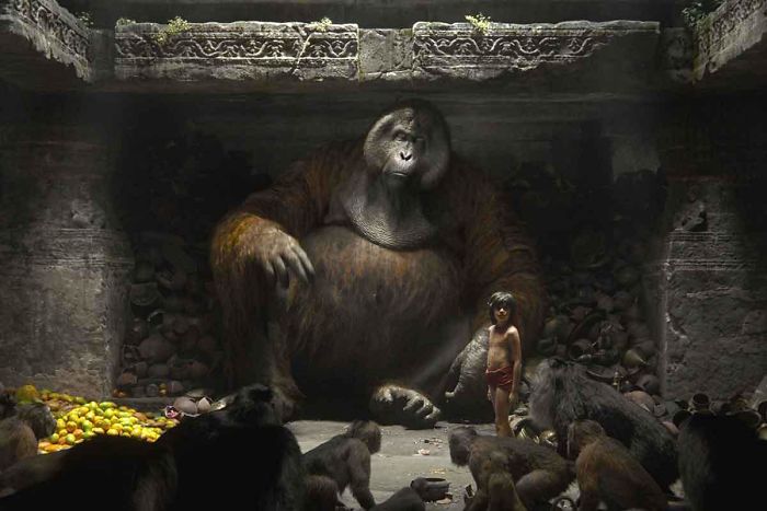 In The Jungle Book (2016) King Louie Is A Gigantopithecus, A Huge Species Of Ape Believed To Have Gone Extinct 9,000,000-100,000 Years Ago. The Only Recorded Fossils Of This Creature Are The Jaw Bones. The Change Was Made From The 1967 Film Because Orangutans Are Not Native To India