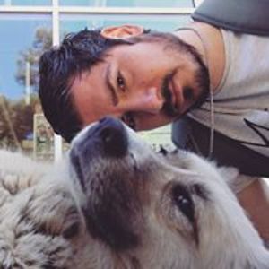 hakanyazici84 avatar