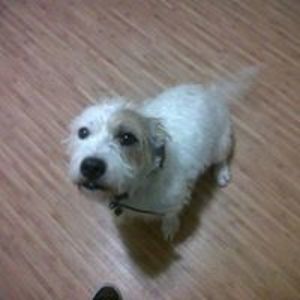 edinburghmusicqueen avatar