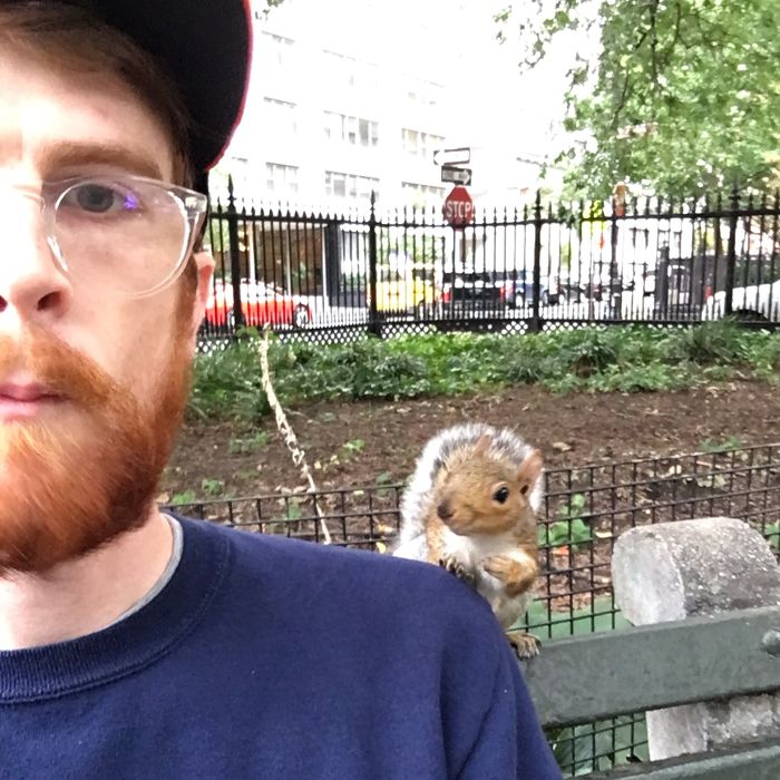 New York Squirrels Will Just Tap You On Your Shoulder And Ask "You Gonna Finish That?"