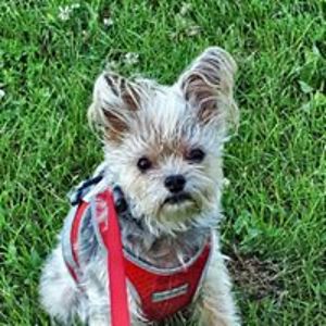 judyjohnson624 avatar