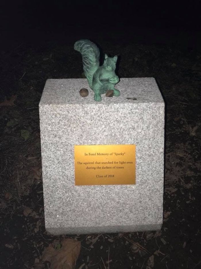 A Memorial For The Squirrel That Ate Through A Wire That Canceled Classes For Two Days. It Was Paid For By The Undergrad Class