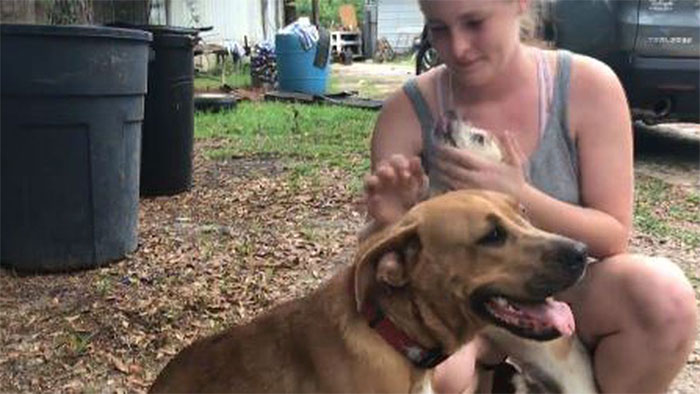 "No merecemos a los perros": Un niño con autismo perdido fue encontrado acompañado de los perros de la familia