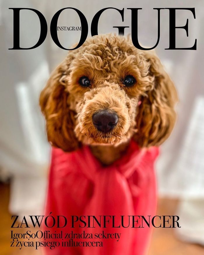 51 'Dogue' Covers That Are The Perfect Combination Of Fashion And Cuteness