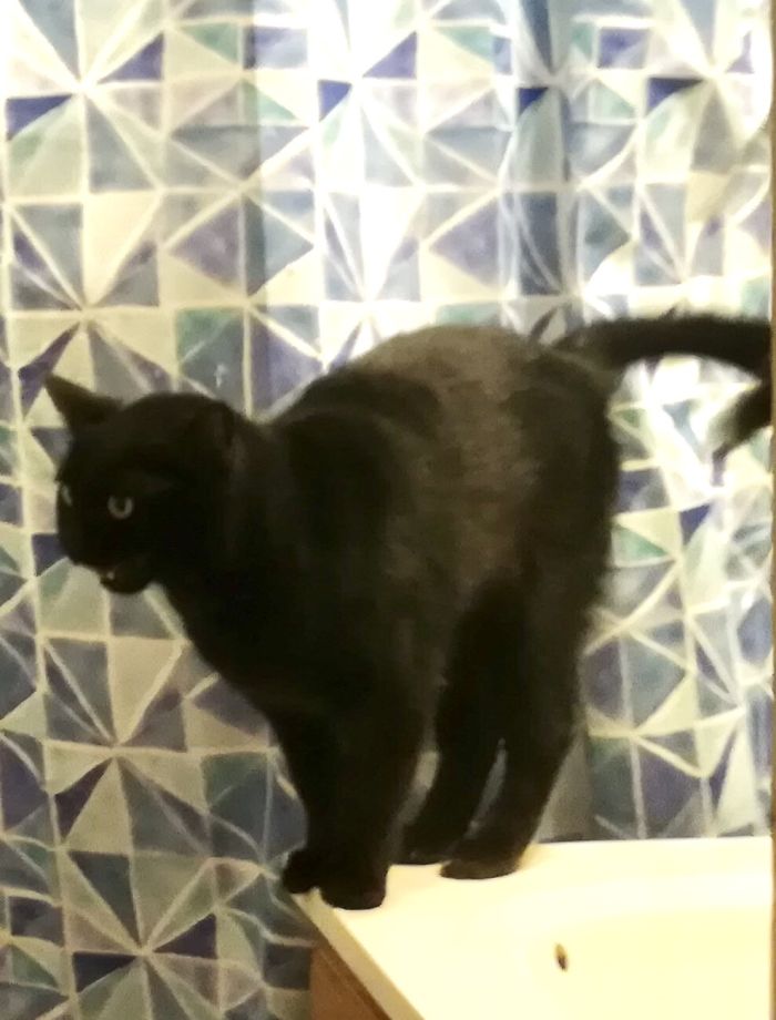 Betty “Singing “ With Me While I Shower