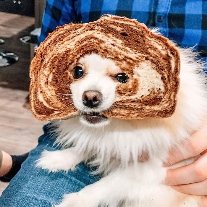 When Breading Goes Wrong