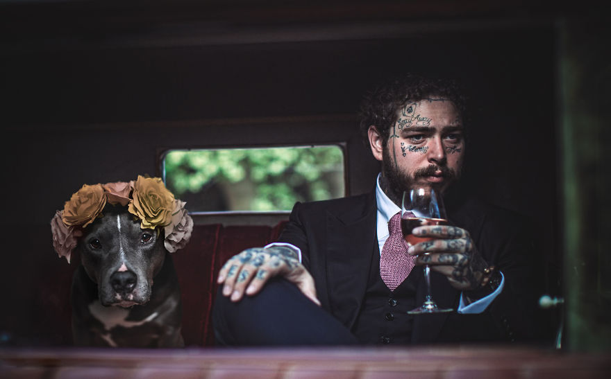 Philly Photographer Summons Post Malone For Adoptable Dog Photoshoot In A Wild Way!
