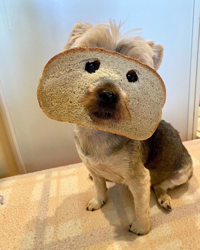 I’m Pure Bread Today