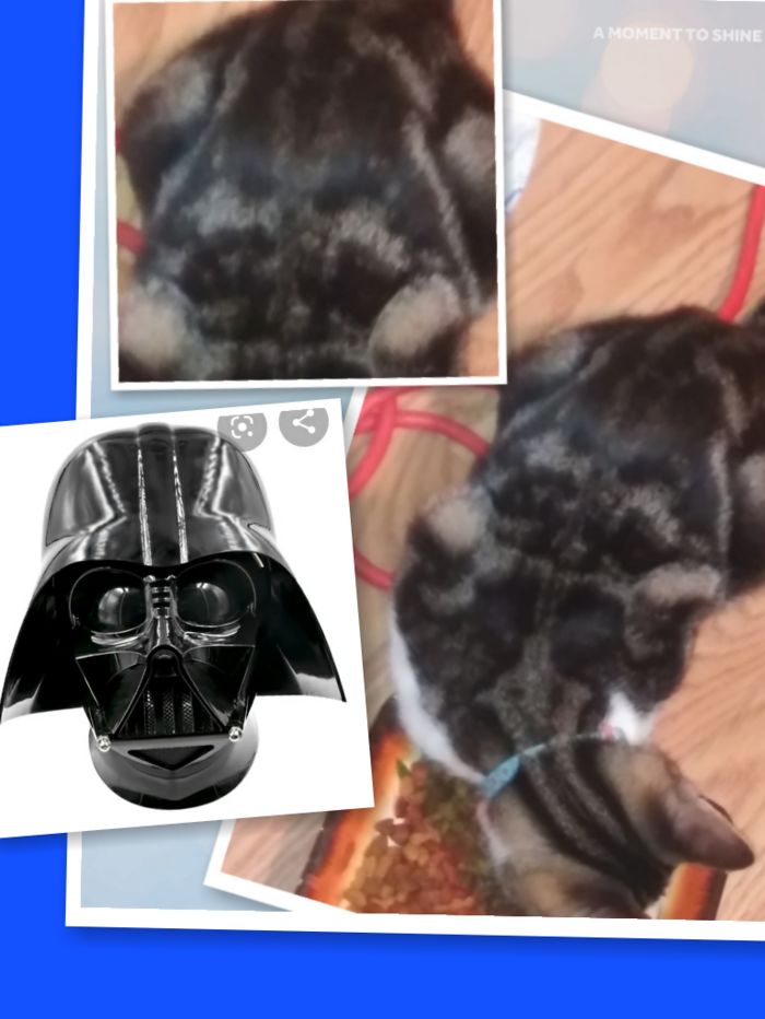 Nellie Has Been Born With A Darth's Vader Mark On Her Back. Xd