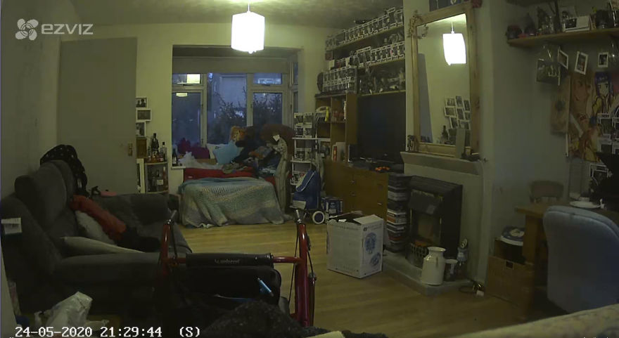 Woman Thinks That Her Dead Cat Visited Her Room Exactly One Year After She Died, Shows Footage