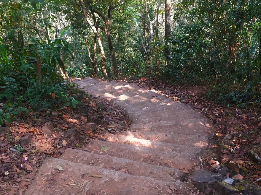 Double Decker Living Root Bridges, Meghalaya Double Decker Living Root Bridges, Meghalaya