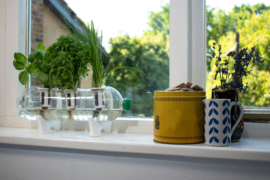 This Kit Turns Any Used Plastic Bottle Into A Beautiful Indoor Farm This Kit Turns Any Used Plastic Bottle Into A Beautiful Indoor Farm