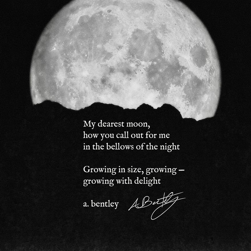 33 Of The Best Love Poems From Poet Alexander Bentley