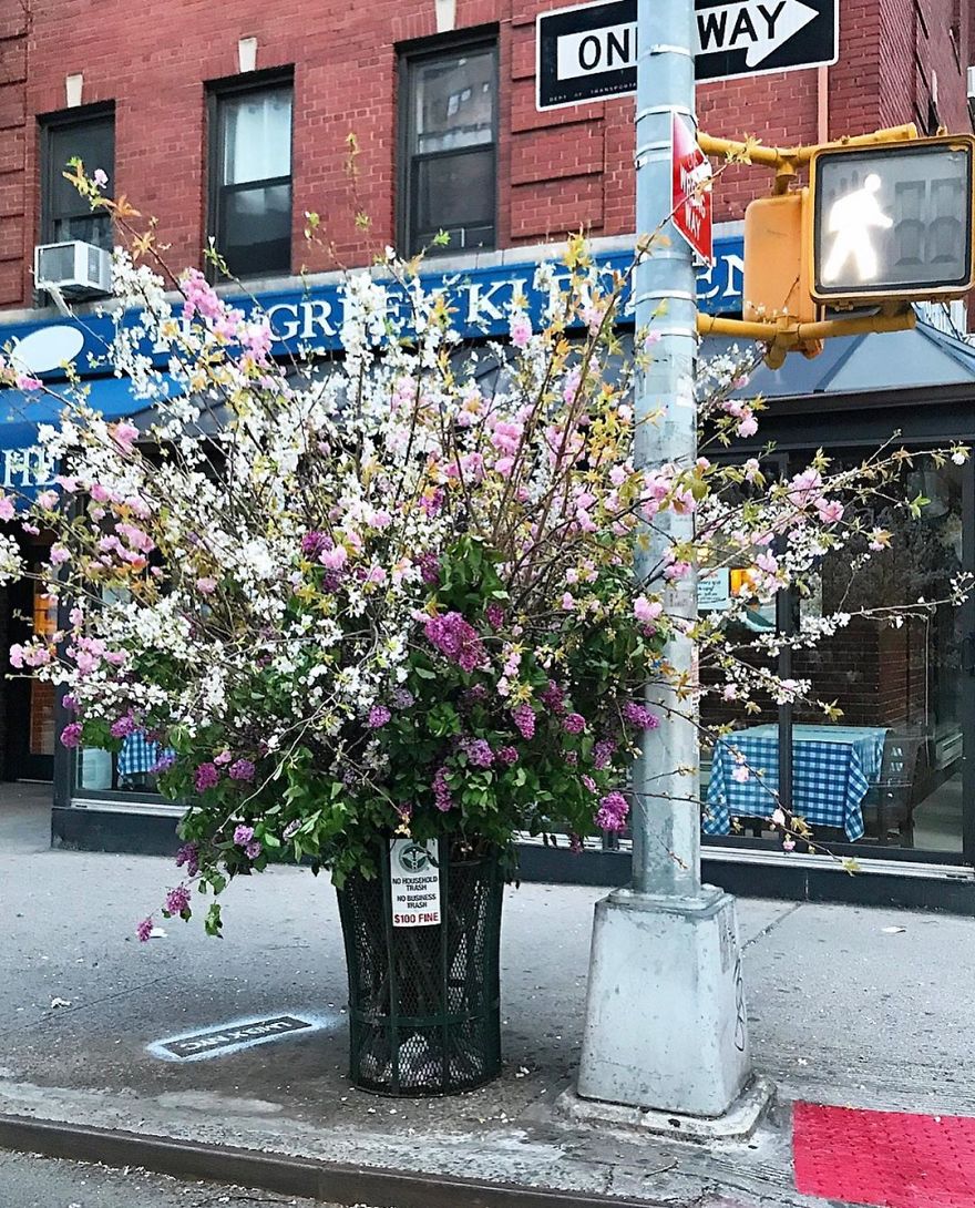 Unexpected Places In NYC Are Blooming With Flowers To Honor Healthcare Workers Thanks To Lewis Miller (11 Pics)