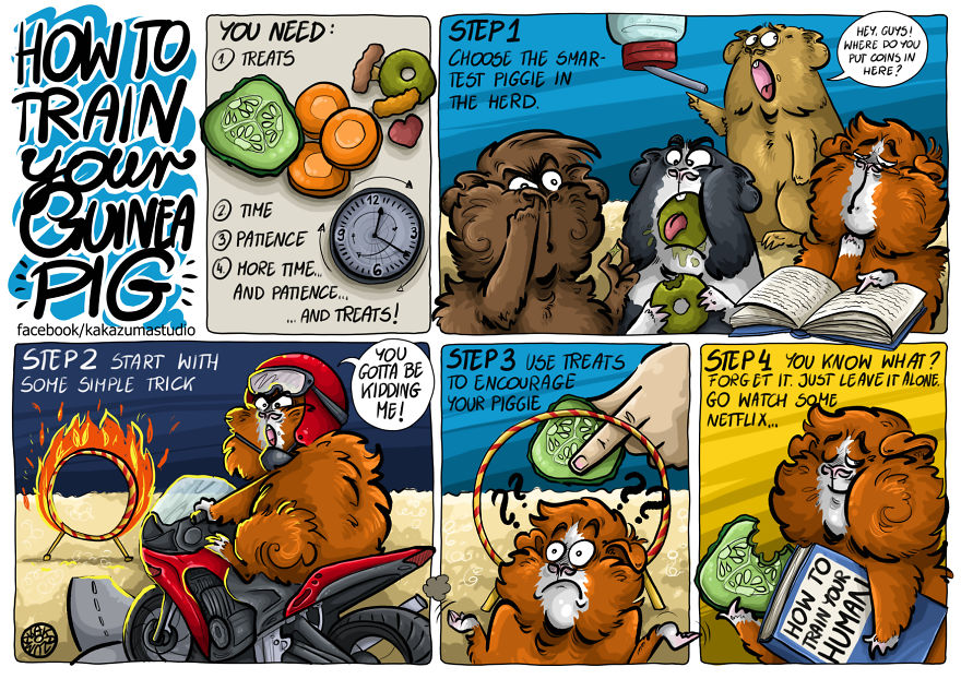 I Make Funny Comics About My Guinea Pigs And Cosplayed Them Into Various Characters I Make Funny Comics About My Guinea Pigs And Cosplayed Them Into Various Characters