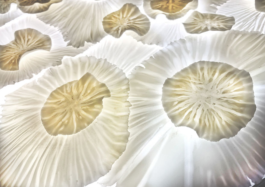 I Tell Stories Through Light Installations Constructed With Porcelain