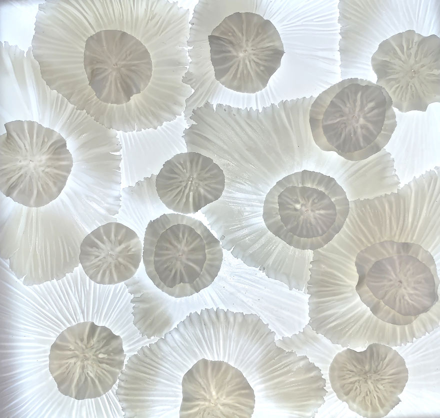 I Tell Stories Through Light Installations Constructed With Porcelain