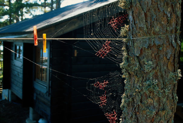 She Tried Mending Spiderwebs With Yarn ... She Tried Mending Spiderwebs With Yarn ...