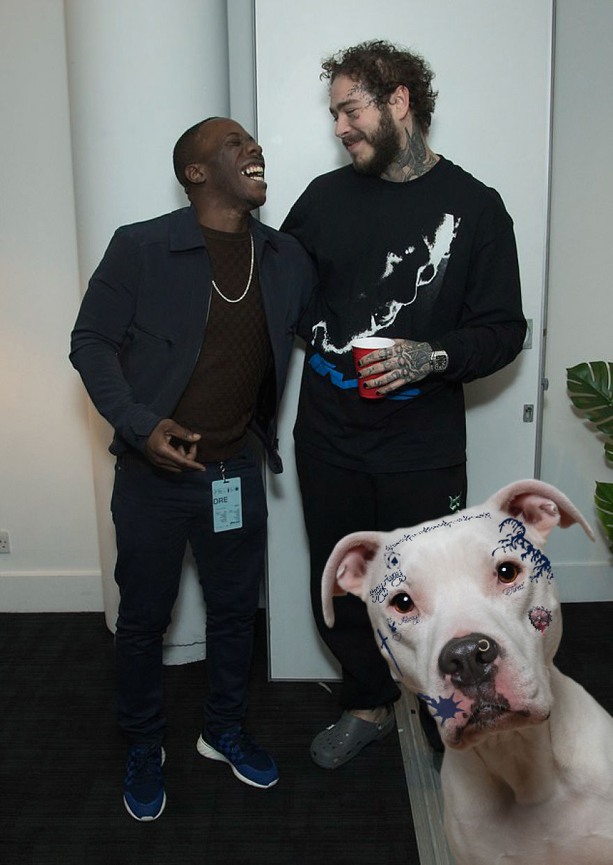 Philly Photographer Summons Post Malone For Adoptable Dog Photoshoot In A Wild Way!