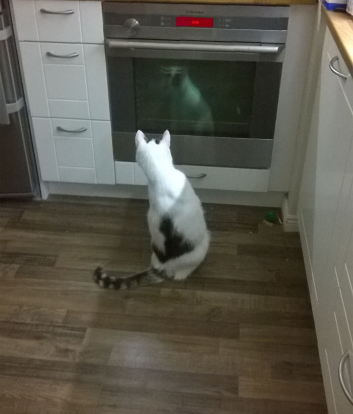 Ghost In The Empty Oven