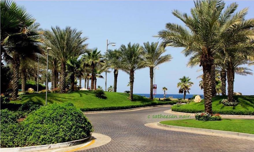 Summer In The Garden