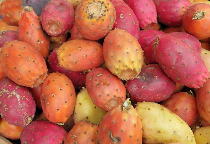 You May Have Heard Or The Prickly Pear Cactus But Did You Know You Can Eat The Prickly Pears. Just Beware Of The Prickles. To Get Rid Of The Prickles, Run The Pears Under Running Water Whilst Wearing Thick Gloves Whilst Gently Scrape The Top Using A Peeler Without Actually Peeling The Fruit