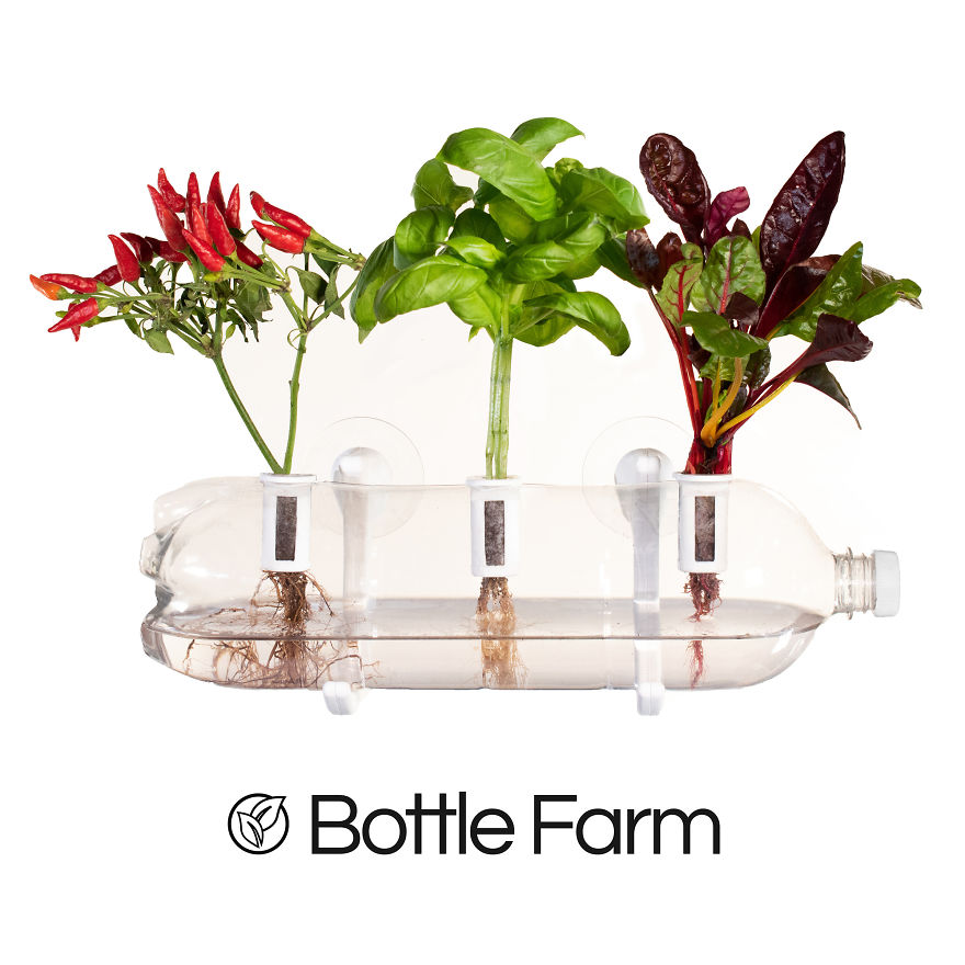 This Kit Turns Any Used Plastic Bottle Into A Beautiful Indoor Farm This Kit Turns Any Used Plastic Bottle Into A Beautiful Indoor Farm