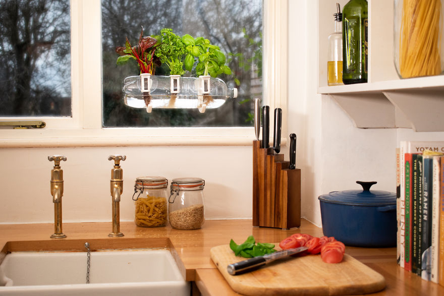 This Kit Turns Any Used Plastic Bottle Into A Beautiful Indoor Farm This Kit Turns Any Used Plastic Bottle Into A Beautiful Indoor Farm