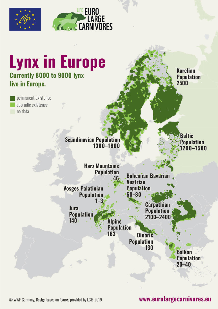 June 11th: International Lynx Day
celebrate The Biggest Wild Cat In Europe June 11th: International Lynx Day
celebrate The Biggest Wild Cat In Europe