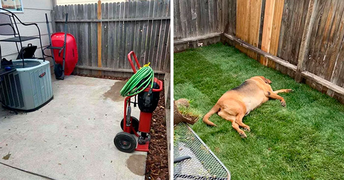Rescue Dog That Never Had His Own Yard Gets A Surprise When His New Parents Build Him One