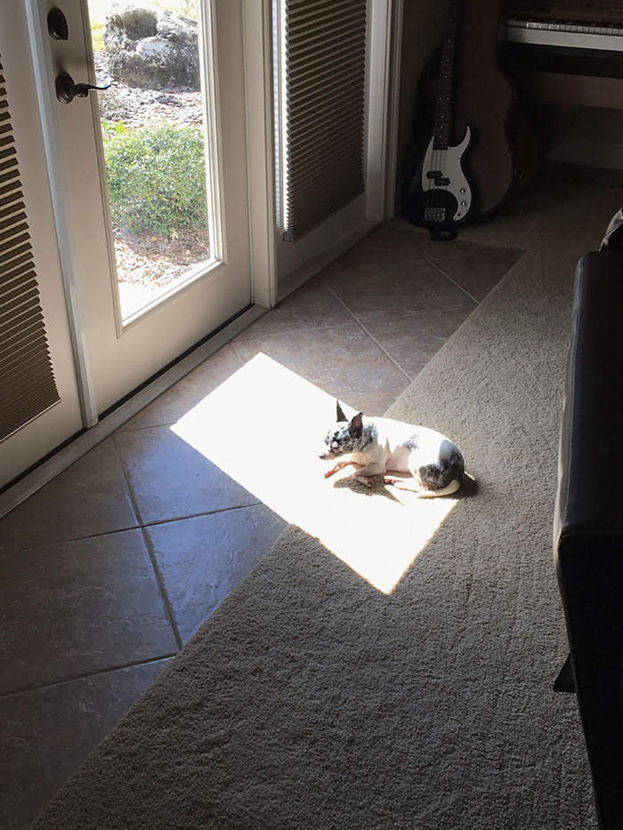 She Loves The Sun