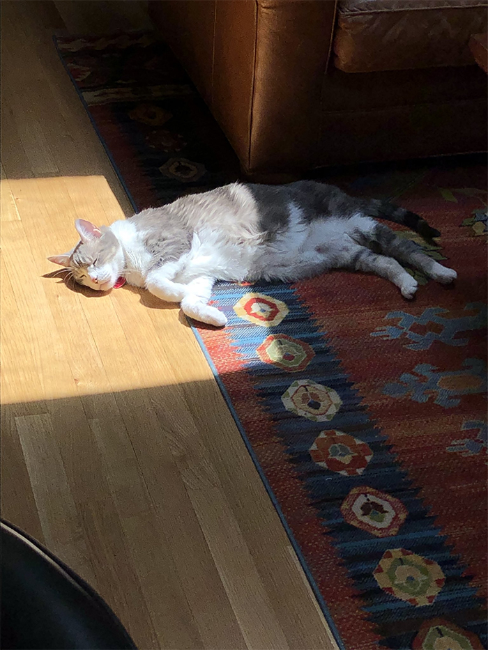 A sweet precious baby basking in the sun