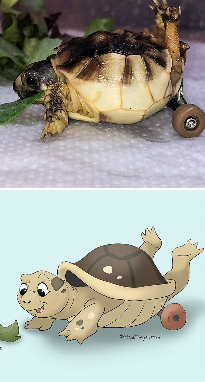 People Send Pics Of Their Pets To This Artist And She Disneyfies Them (30 Pics)