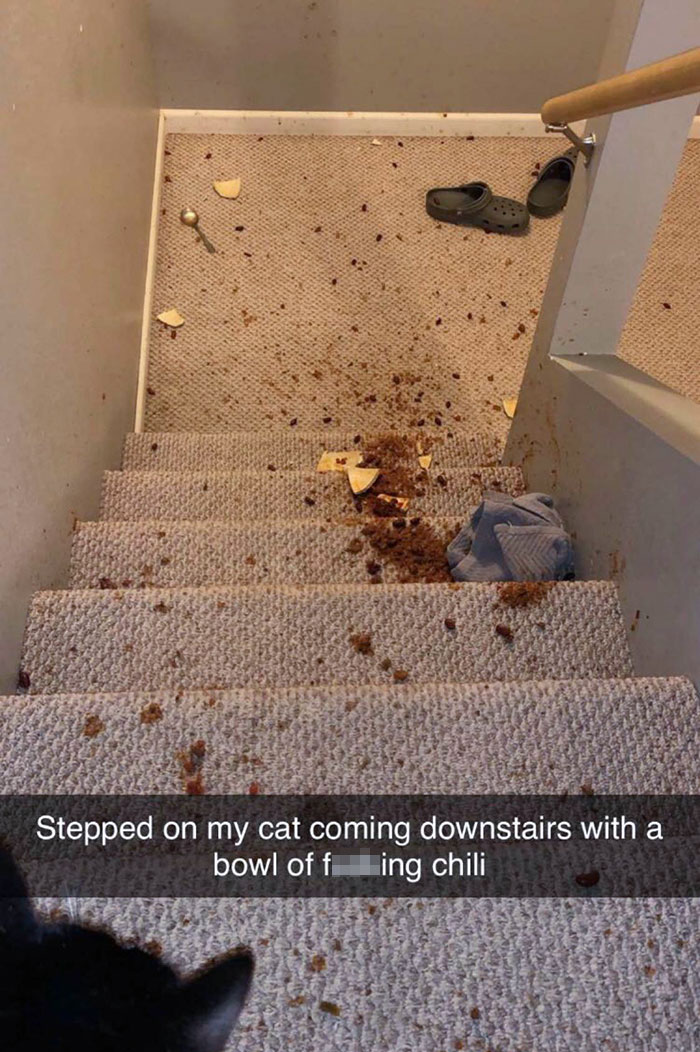 Me he tropezado con el gato bajando las escaleras mientras llevaba un cuenco de chili