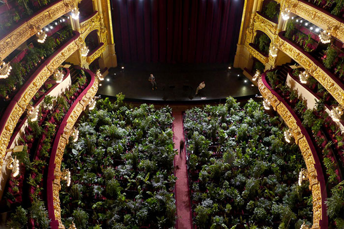 Barcelona Opera House Reopens With A Performance In Front Of A Majestic Crowd Of 2,292 Plants