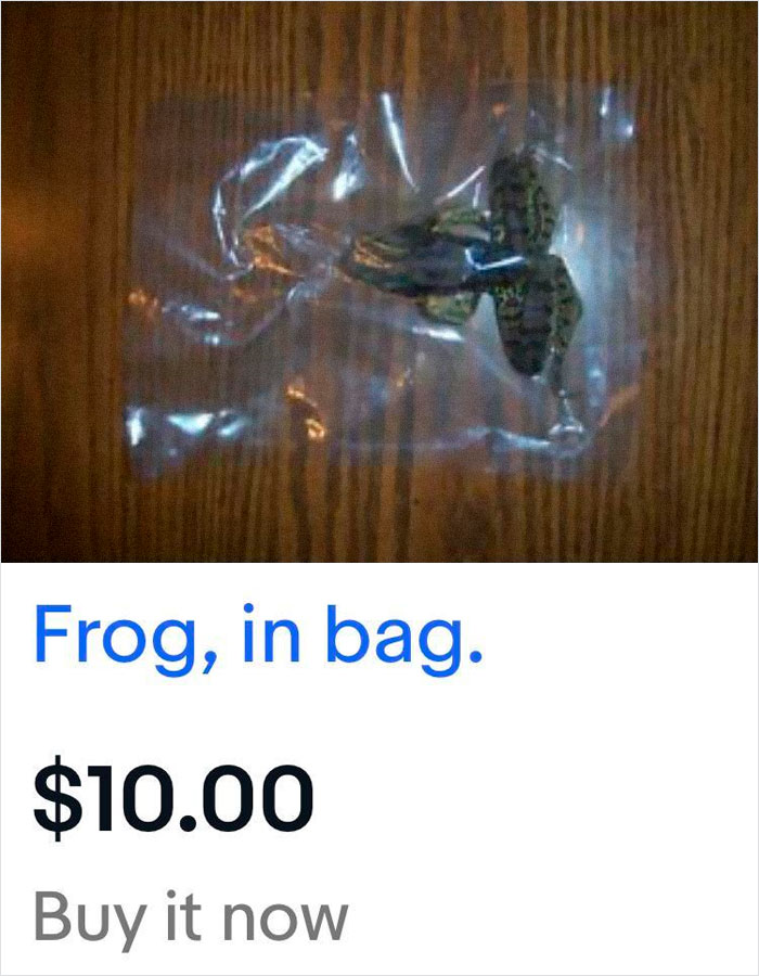 Frog, In Bag.