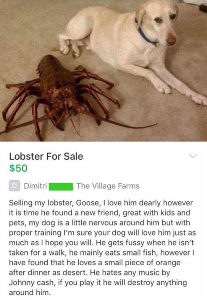 Selling My Pet Lobster. Do Not Under Any Circumstances Play Him Johnny Cash