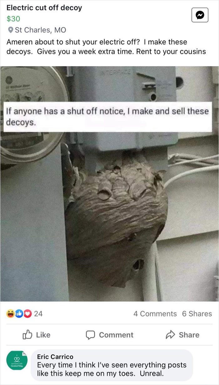 Fake Wasp Nest