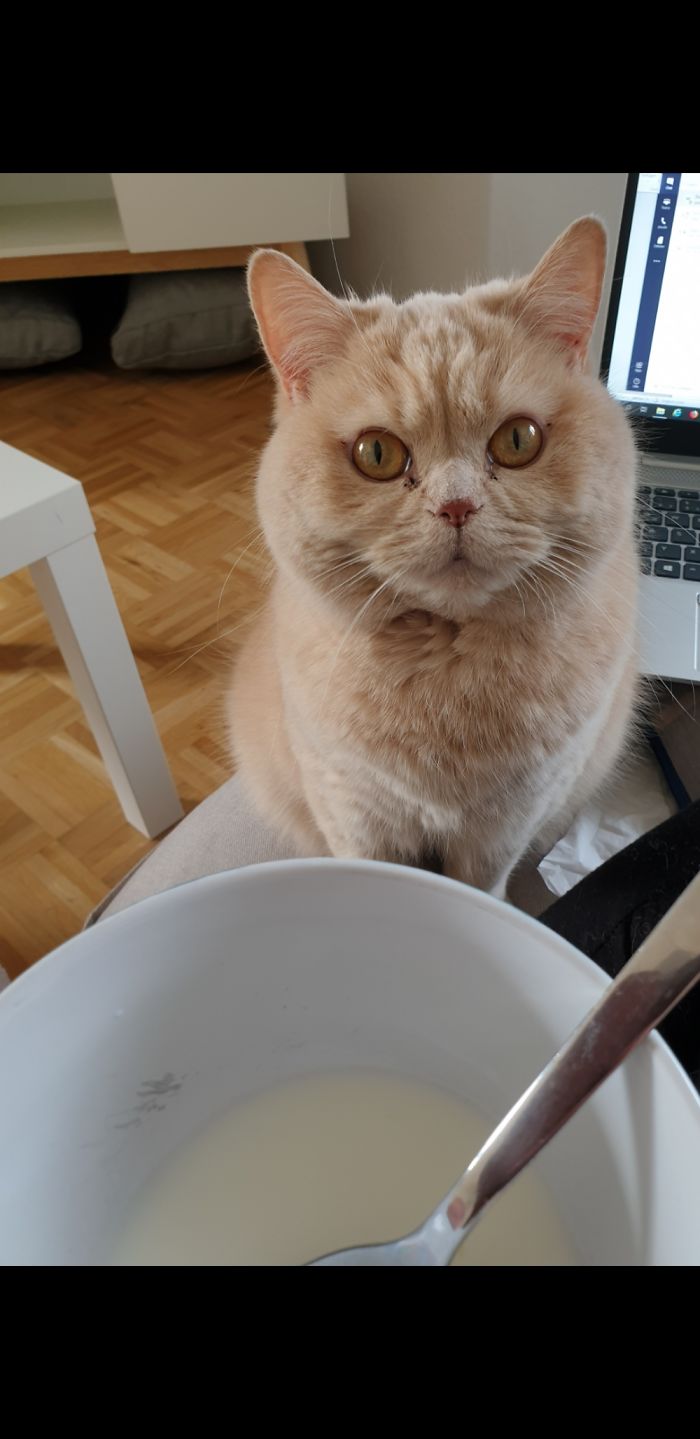 I Get This Look As Soon As I Eat Anything With Milk