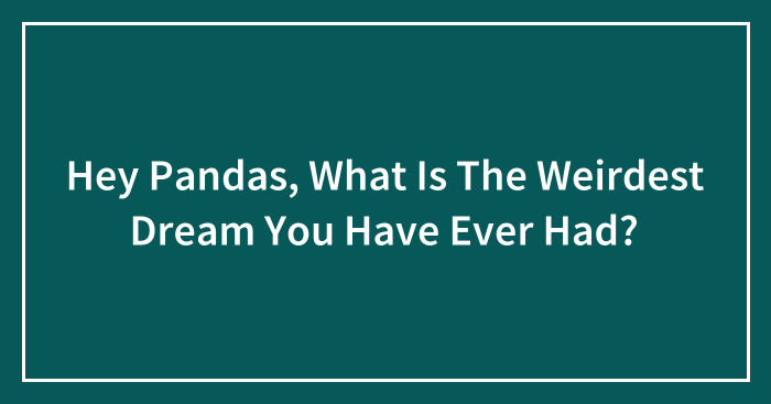 Hey Pandas, What Is The Weirdest Dream You Have Ever Had? (Ended)