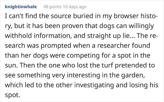 Dog Owner Witnesses Peculiar Behavior At The Dog Park, Asks The Internet If His Dog Just Lied To Another Dog