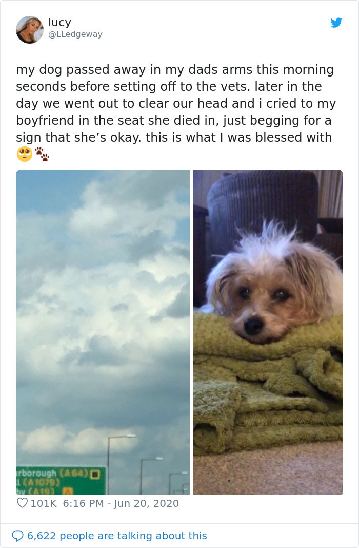 Woman Sees 'Her Dog' In The Sky A Few Hours After Her Death, Others Share Similar Pics And Stories