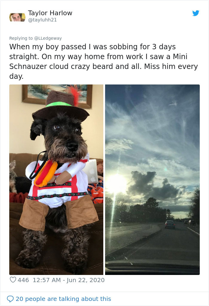 Woman Sees 'Her Dog' In The Sky A Few Hours After Her Death, Others Share Similar Pics And Stories