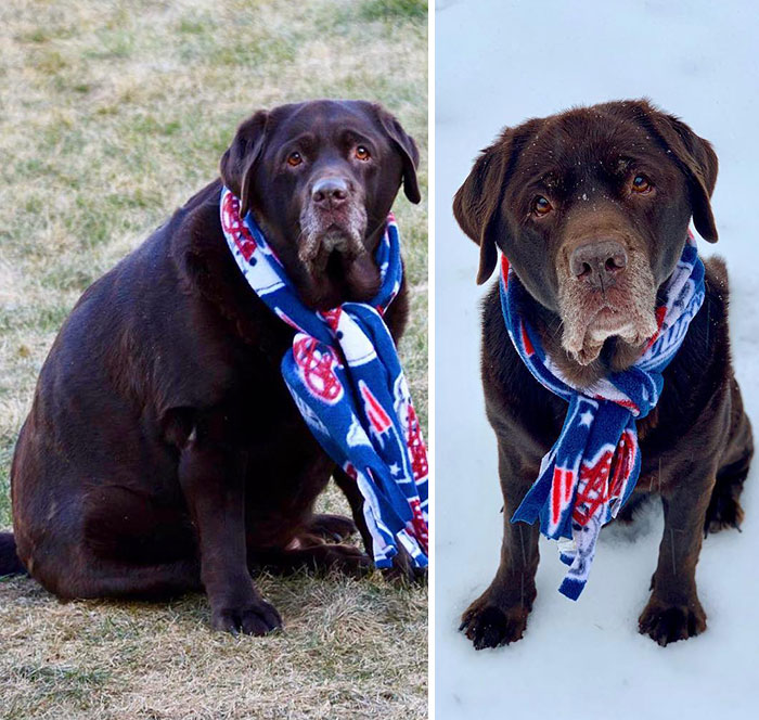 Before & After. 114 Lbs In 2017 (Halfway Through His Weight Loss Journey) To 75 Lbs In 2019. Looking Good Shiloh