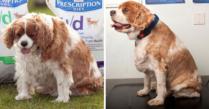 Jack pasó de 20,5 kilos a 14,1 en 6 meses